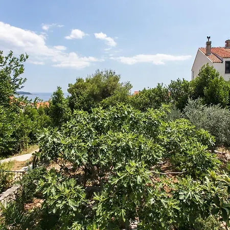 Tetepave 3* Dubrovník